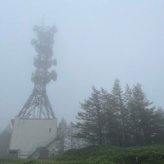 本当の王ヶ鼻