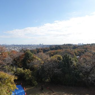 これが羽田方面かな??