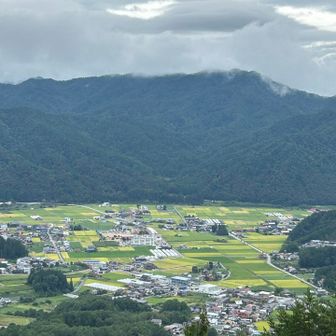 ☁️見量山も山頂付近がガスガス🫥