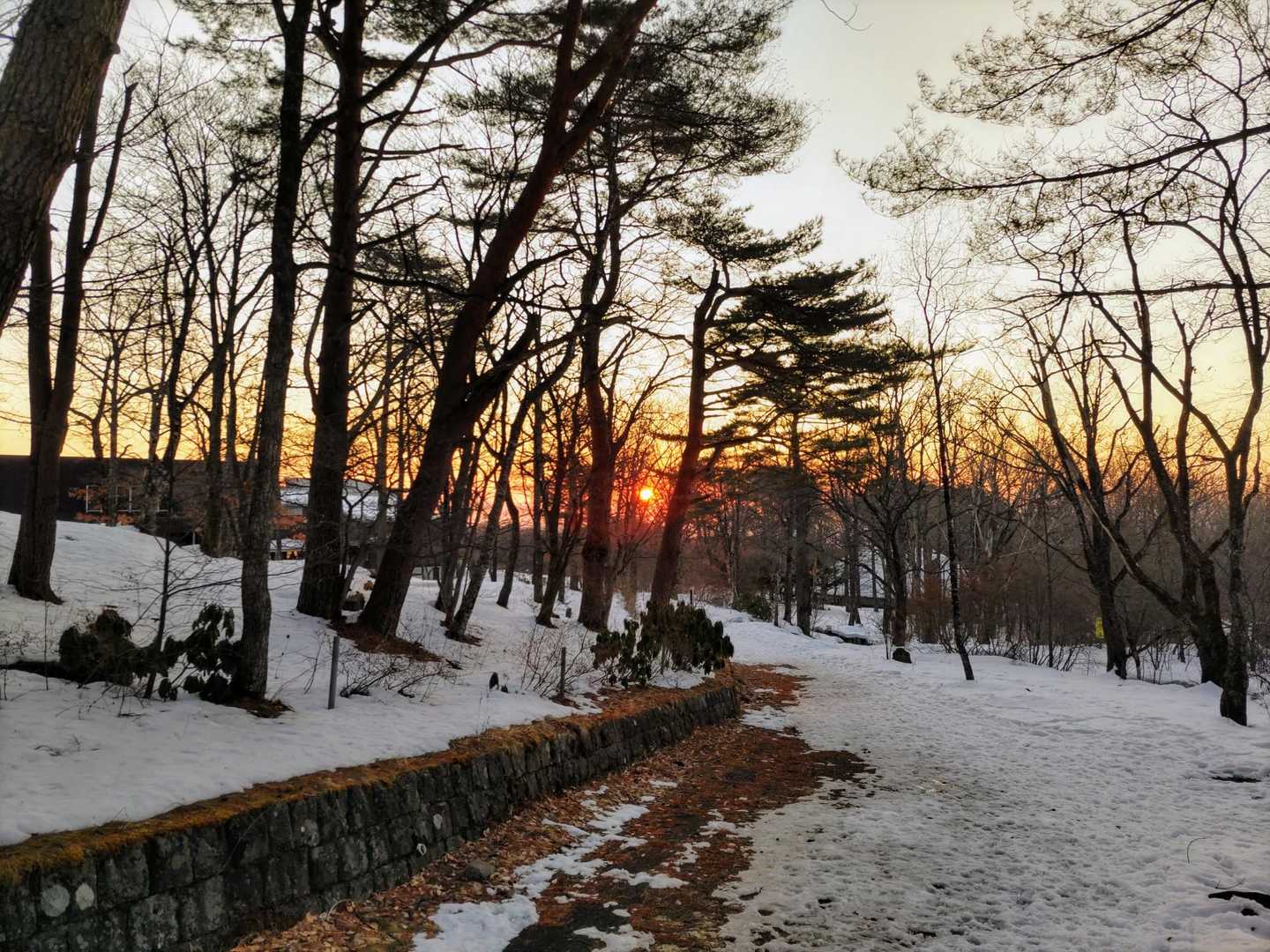 登り始めと同時にあがって来ました🌄