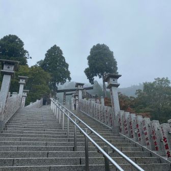 雨の日の景色にハマった 霧が好き