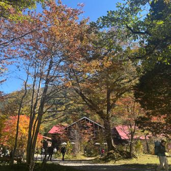 なんとなく、頑張って登ってきたご褒美的な場所になってますよね
ピザ食べたかったなー😂