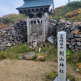 別山神社⛩️
もう一回お参りしてから下山しましょ😌