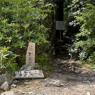 この先がコースの核心部ですから。