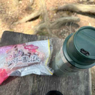 山頂はベンチが4つくらいありました。
クランベリー蒸しパン美味しかった！
来た道を戻ります。