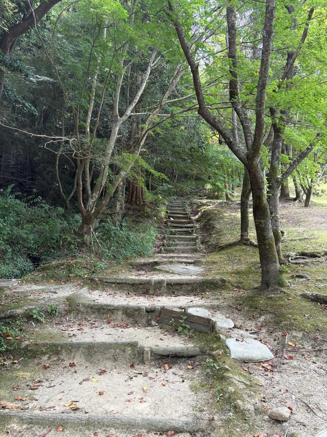桜やモミジの木が沢山
良い雰囲気です✨
