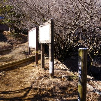 犬越路。

避難小屋のノートにゴーラ沢で熊がでたとの書き込みあり。