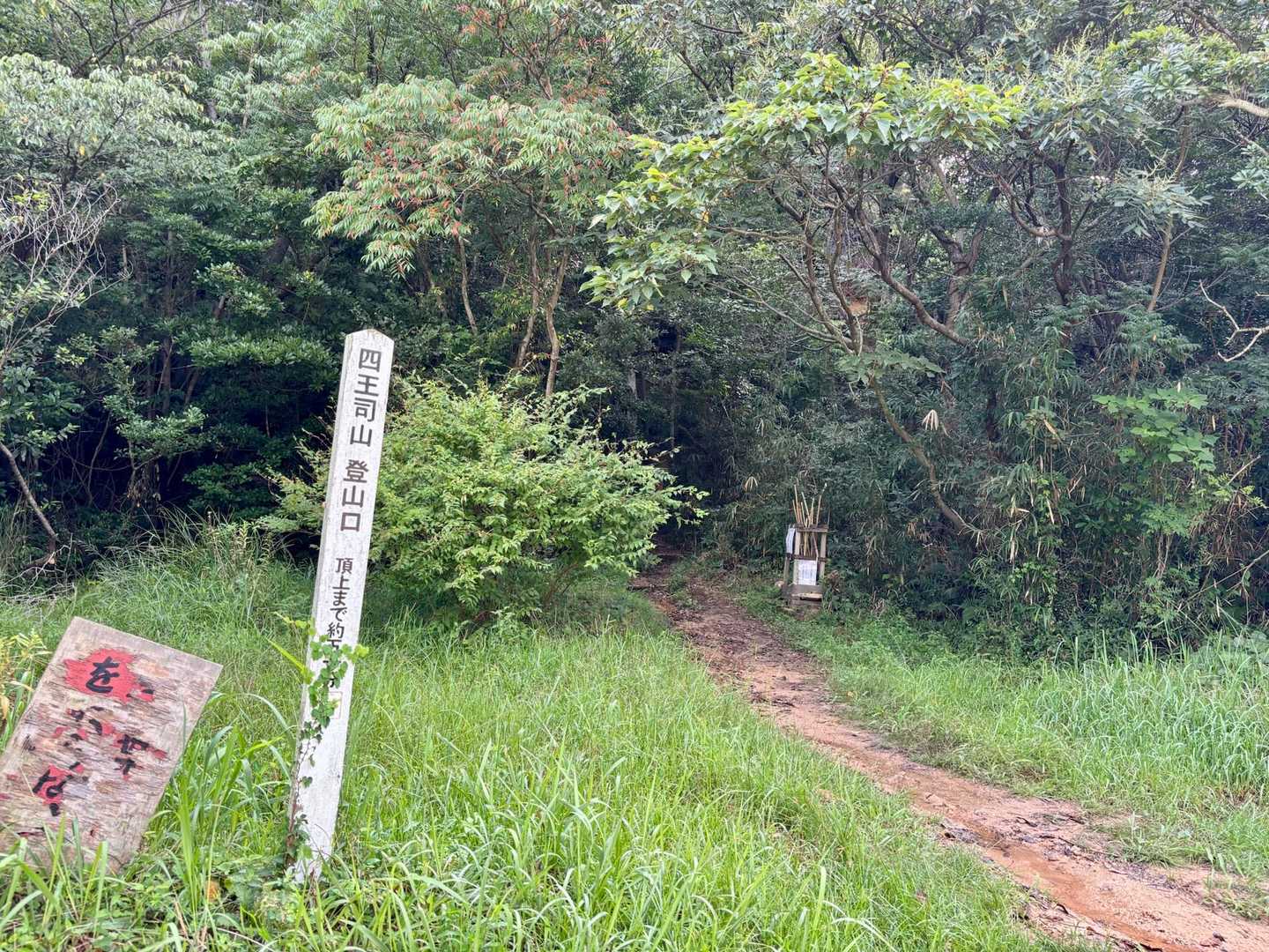 今日も元気に山へ向かう
ここから出発🐾