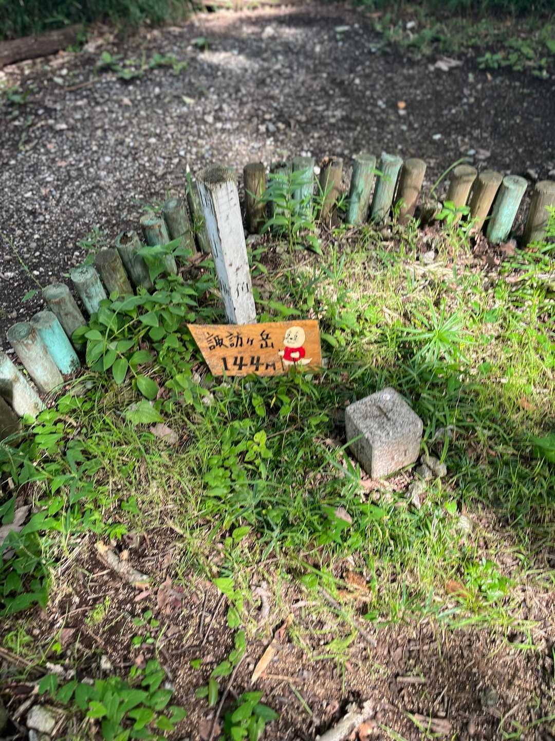 諏訪ヶ岳-古道五差路 縦走コースの写真