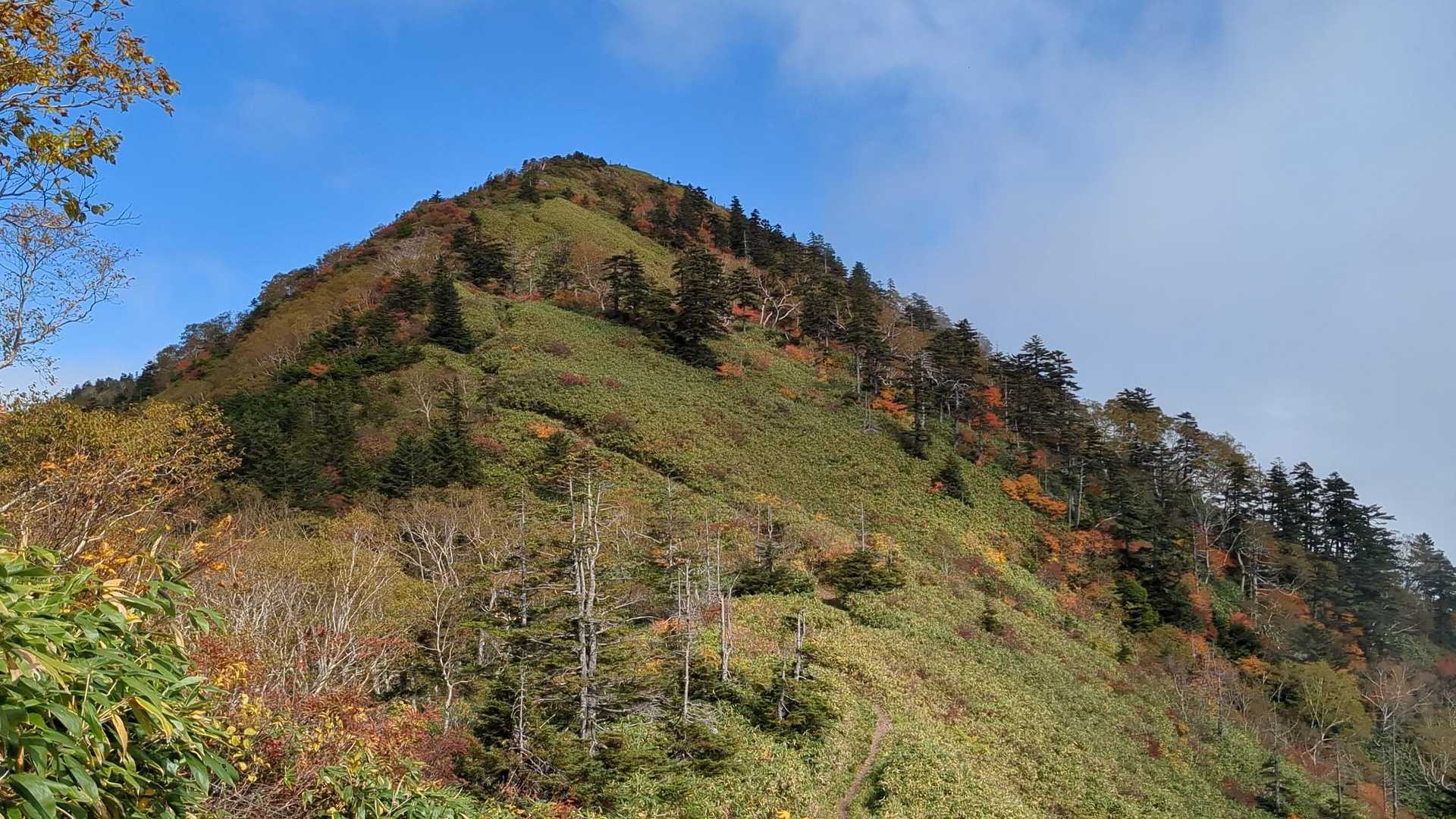 お山は、ちょくちょく登っては
いましたが、、、
かなり体力と山の身体が
衰えてしまった！😓