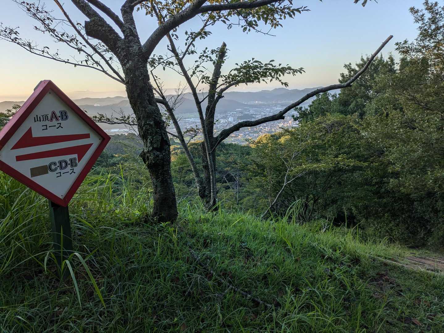 ここから山道へ