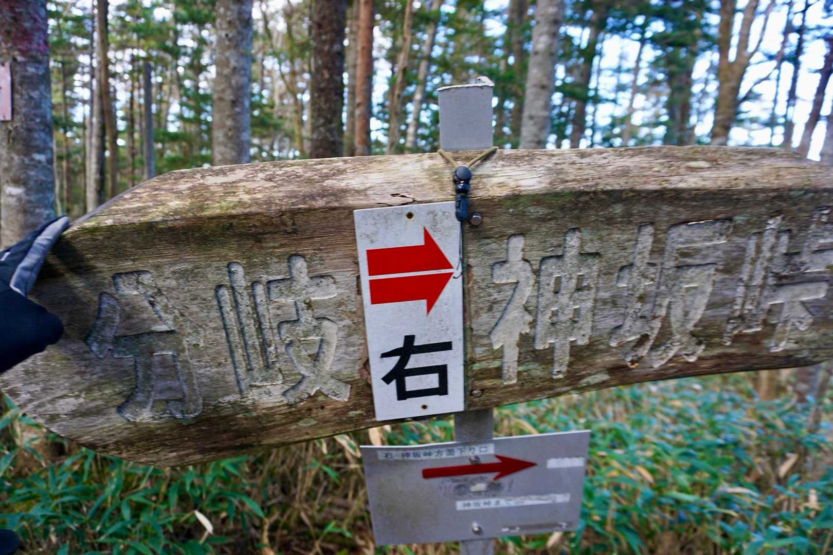 よっしゃ、登り切った✌️