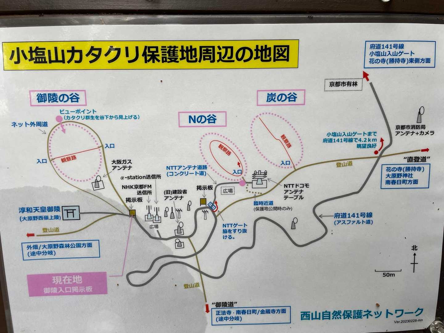 三箇所でカタクリが見れます！！
三回も見れるとは贅沢です☺️