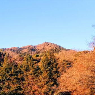 紅の筑波山🧡