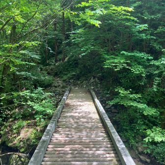 11、白草山へ⑦