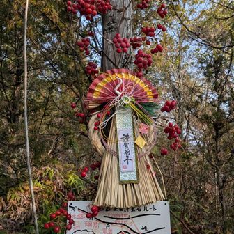 あけましておめでとうございます🎉2026に見た人へ🏇