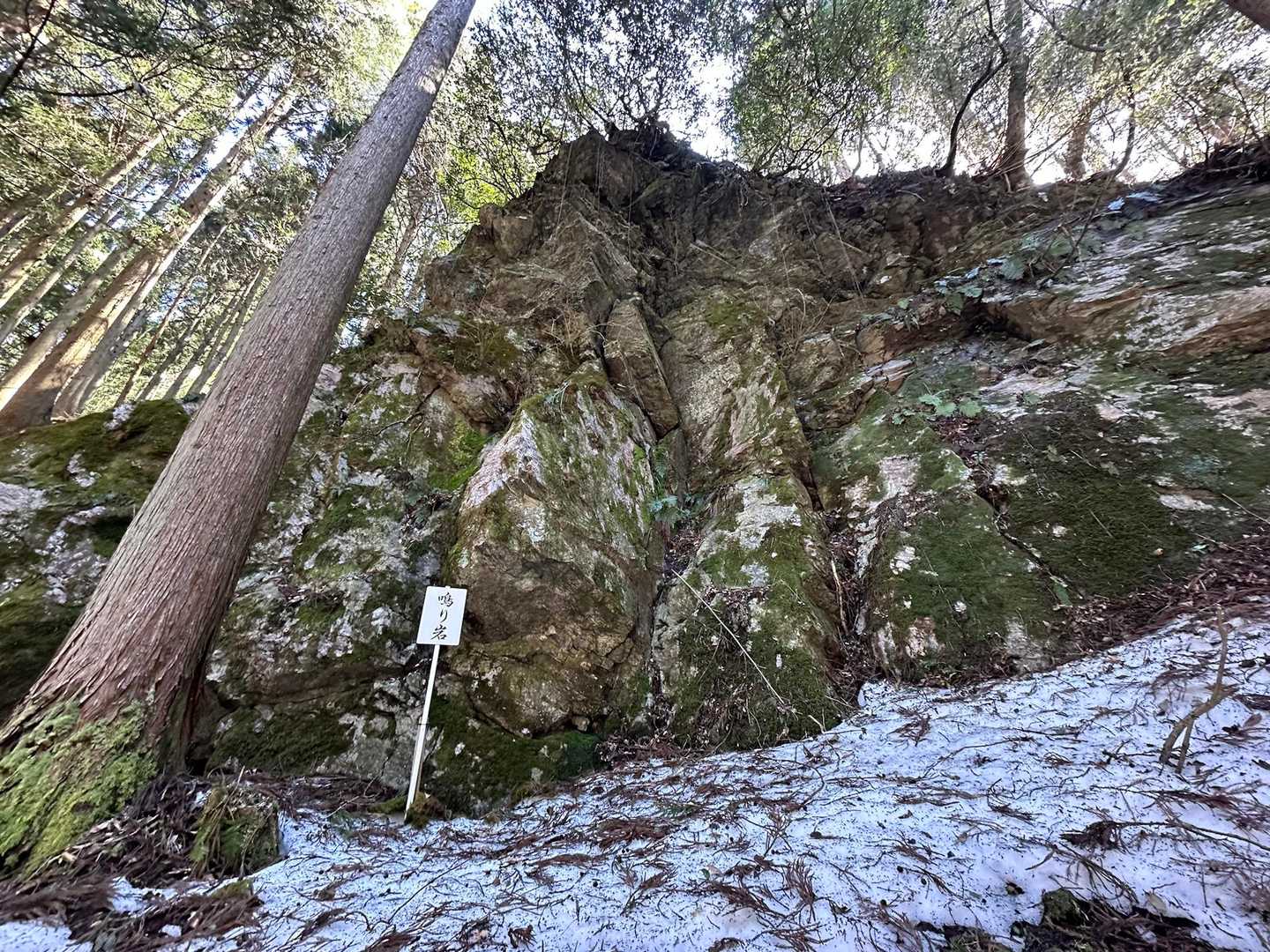 奥山-白倉岳-金糞岳 縦走コースの写真