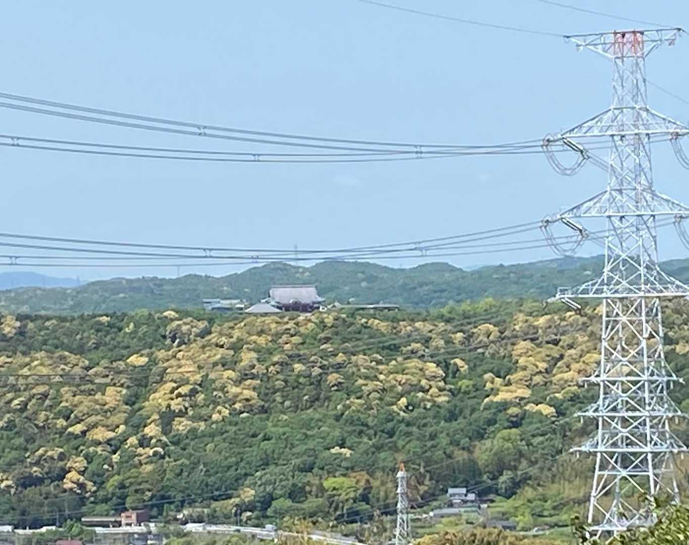 物見曲輪からの眺望

一畑薬師が見えます
条件の合う日には御嶽山も見えるそうです