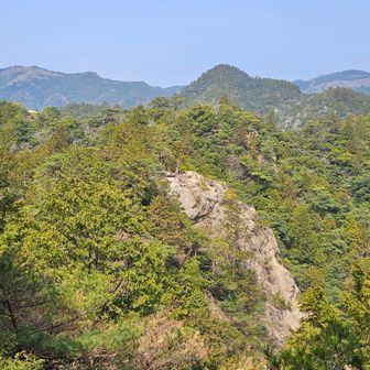 登山道の脇から長坂の頭を見ます、手前に西峰と展望地の岩場も見えます。