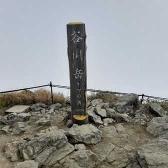 ユーザーさとし