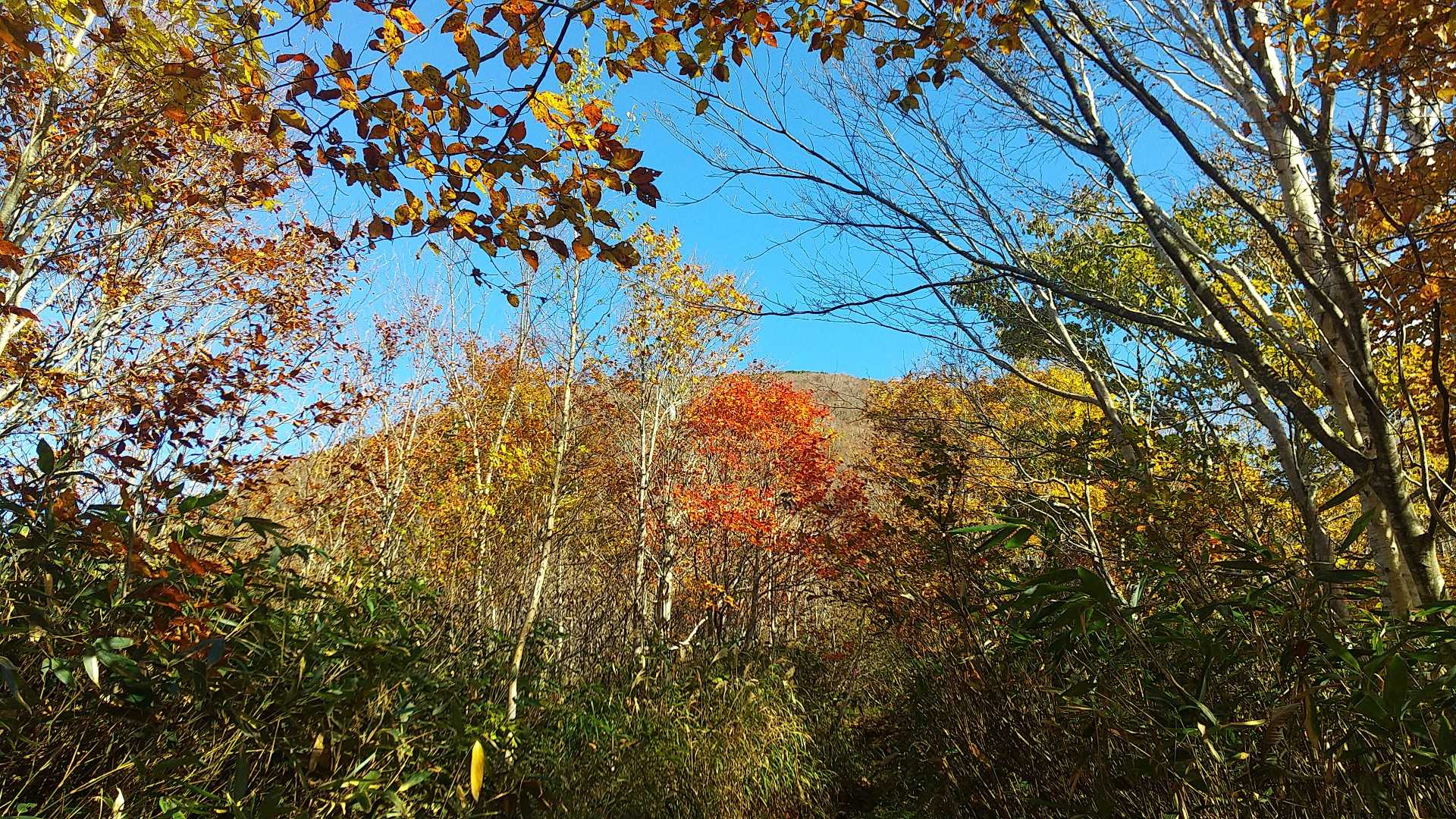 男岳⛰️が見えます‼️