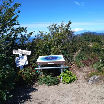 山頂です。やったー！