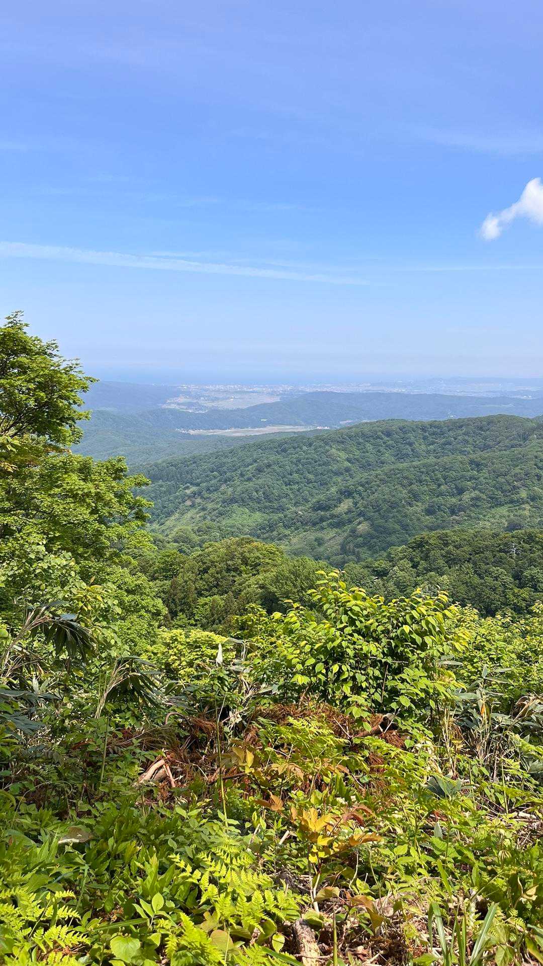 刈羽黒姫山（清水谷コース登山口）の写真