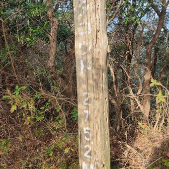 山頂通り過ぎる所だったよ…
ココのタコウドも珍名だね。
地元の学校の校歌にも詠われ、語源は「高土」「鷹渡」など諸説あり。