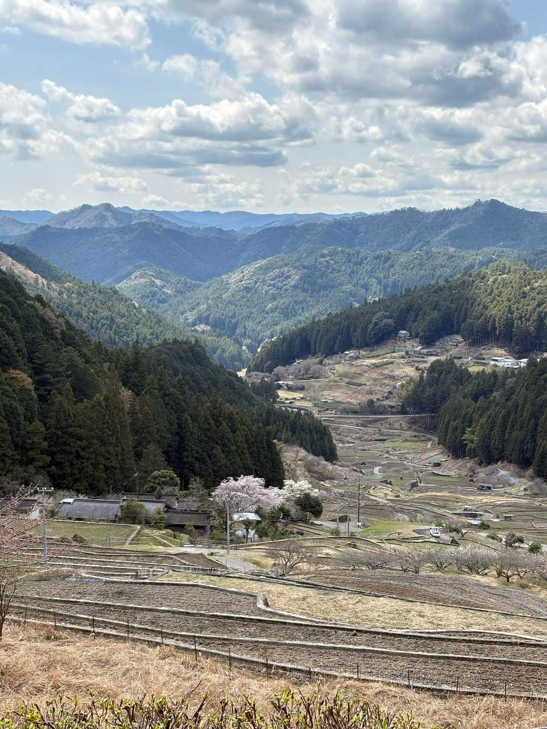 仏坂峠-鞍掛山-かしやげ峠 縦走コースの写真