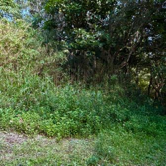 フィールドメモに２件の投稿がある通り登山道はわかりづらかったです