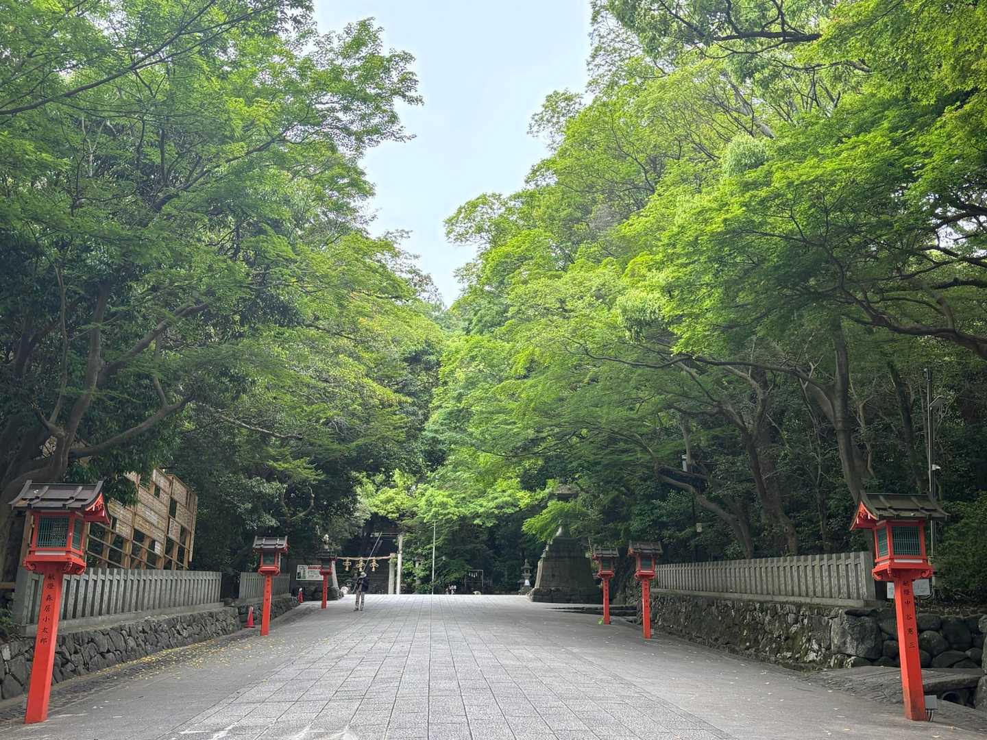 緑が美しい😍💚