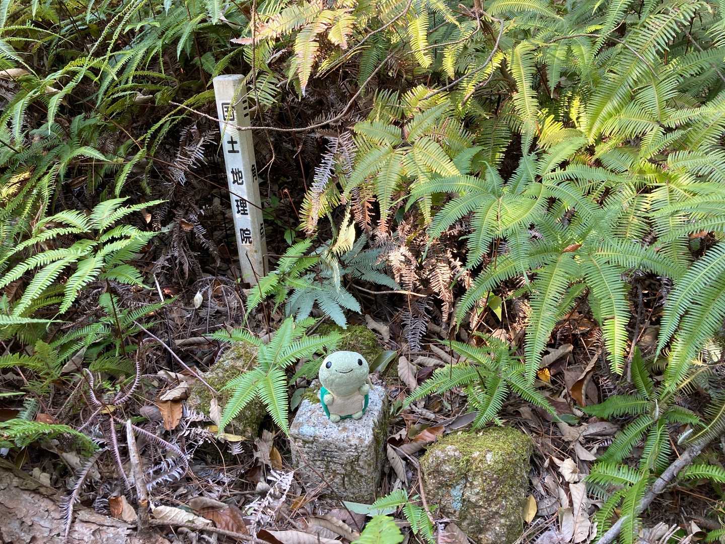 はい登頂🤗