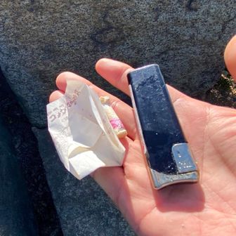 軽く見回り申したるに、ゴミは少なめ、この程度にござる…
むむ、既に誰かが拾い申したかのう？
されど、ライターまでも捨て申すとは…
世も末にござるな😤