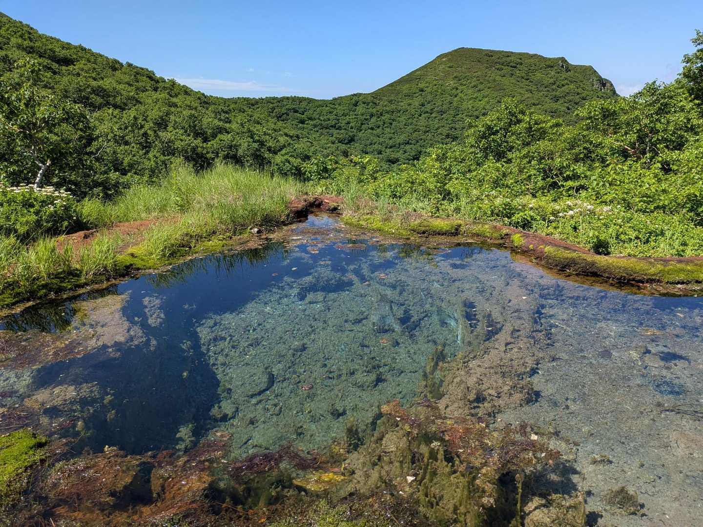 龍神の池