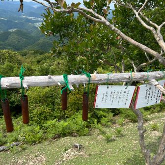 願いが叶うといいな