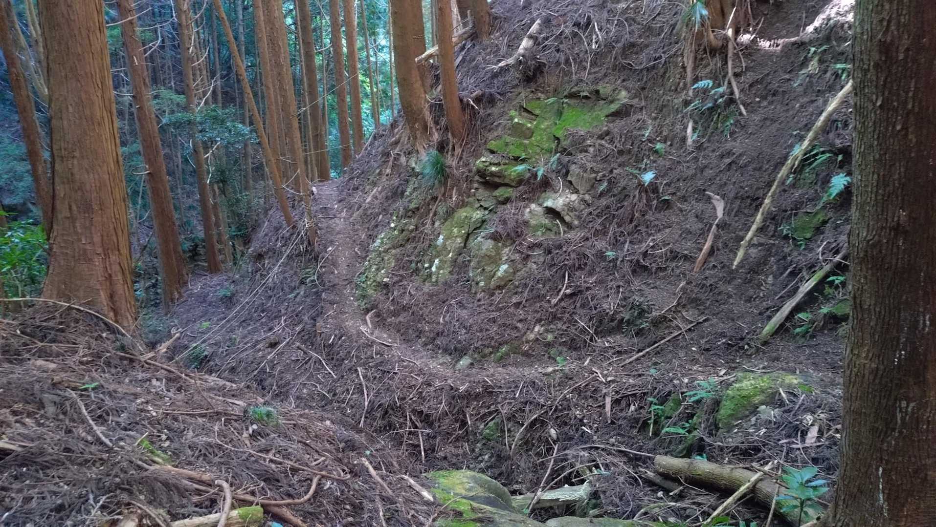 但沼ルート、良い登山道でした🤗