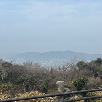 若松方面が霞んで見える😆