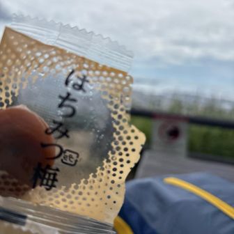 息が上がるのはなぜ⁈

五鬼城公園で休憩しつつ