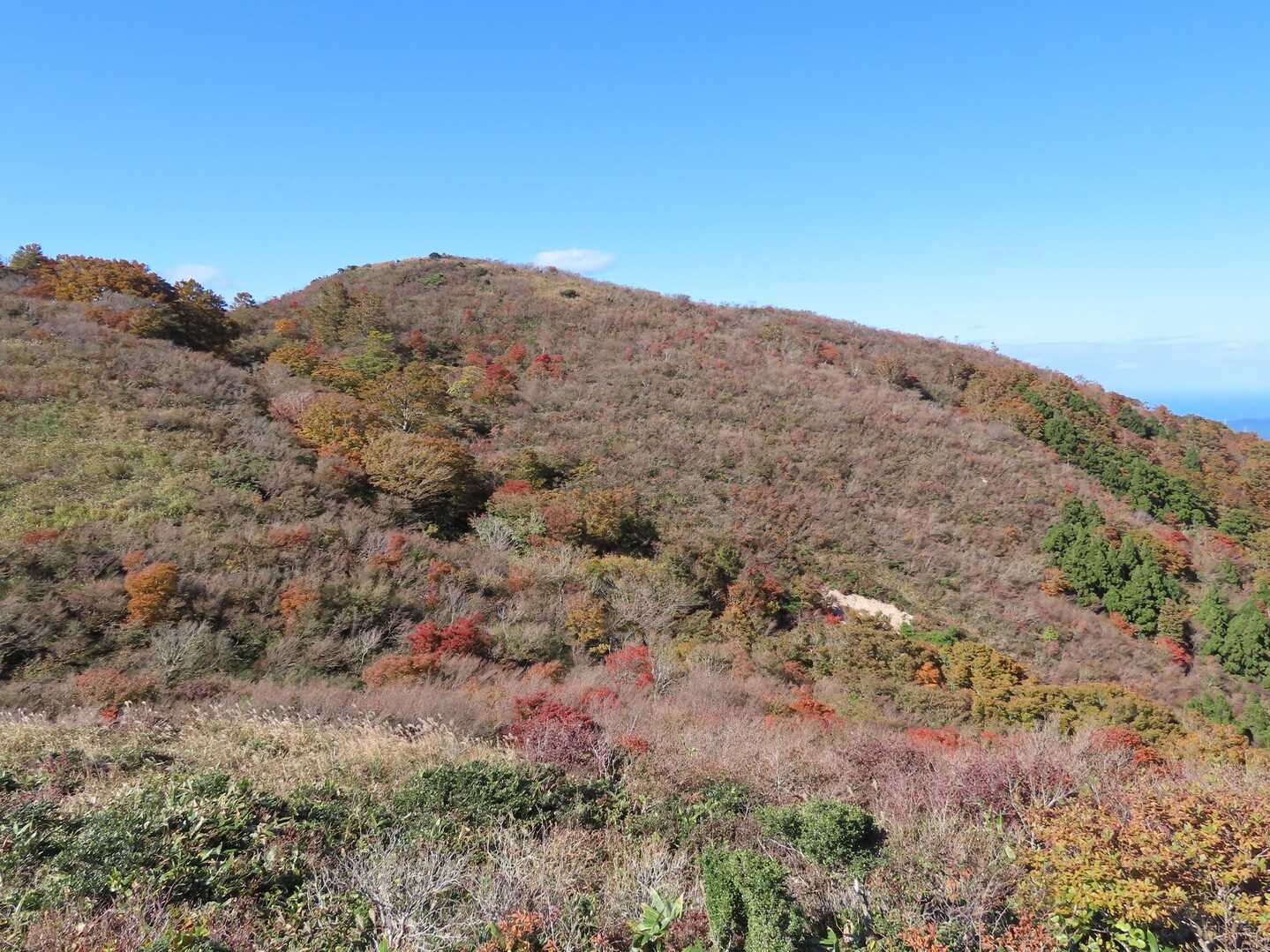 岩籠山の写真