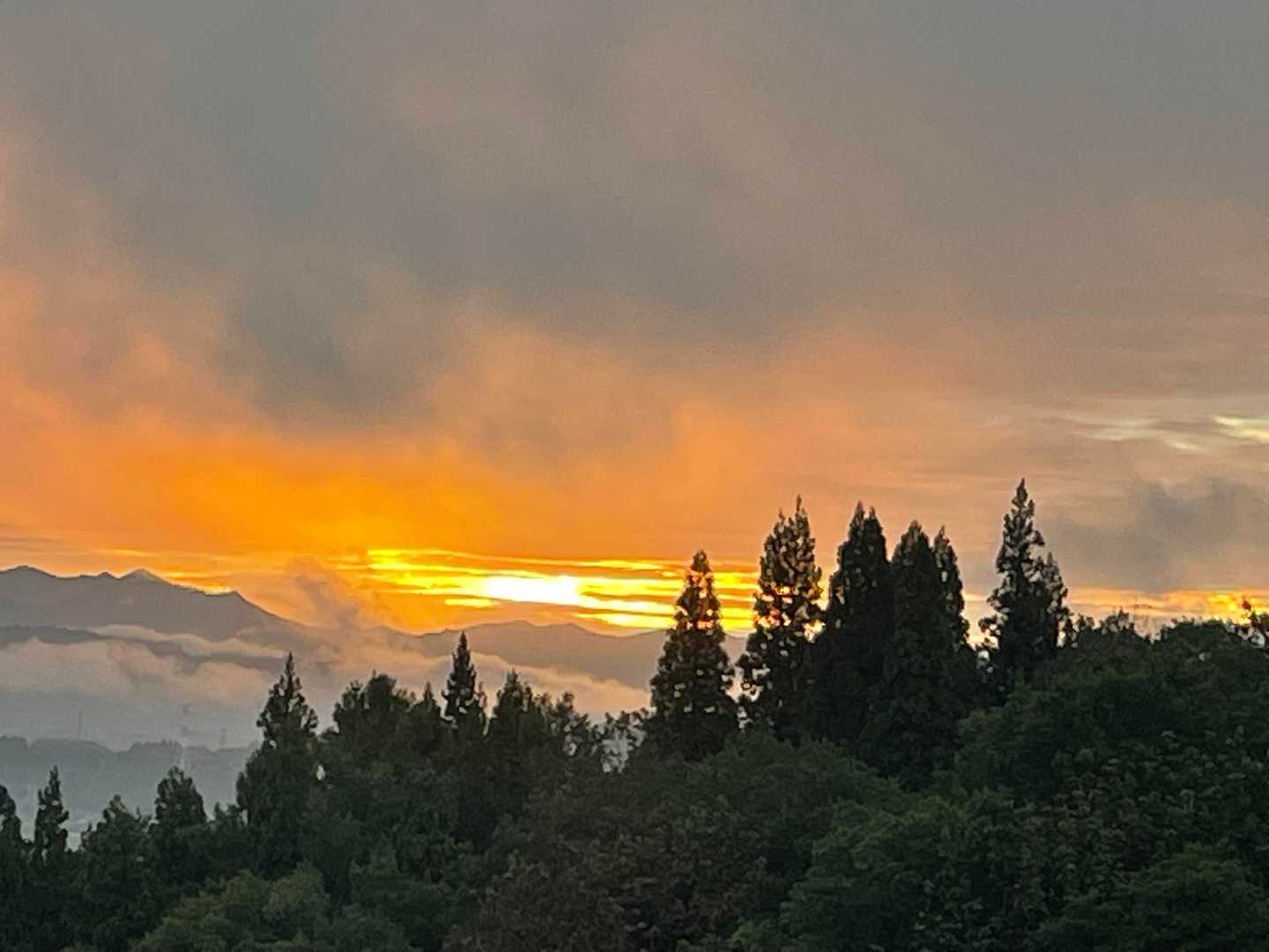 1合目まで降りて来たら❗️☀️