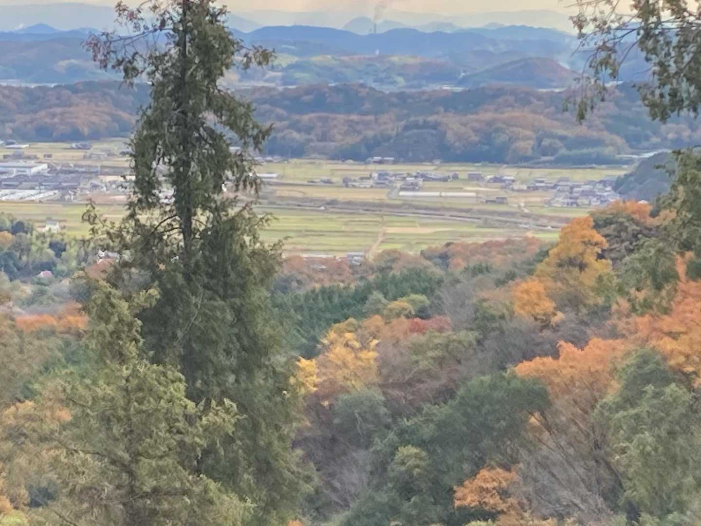 正木山 往復コースの写真