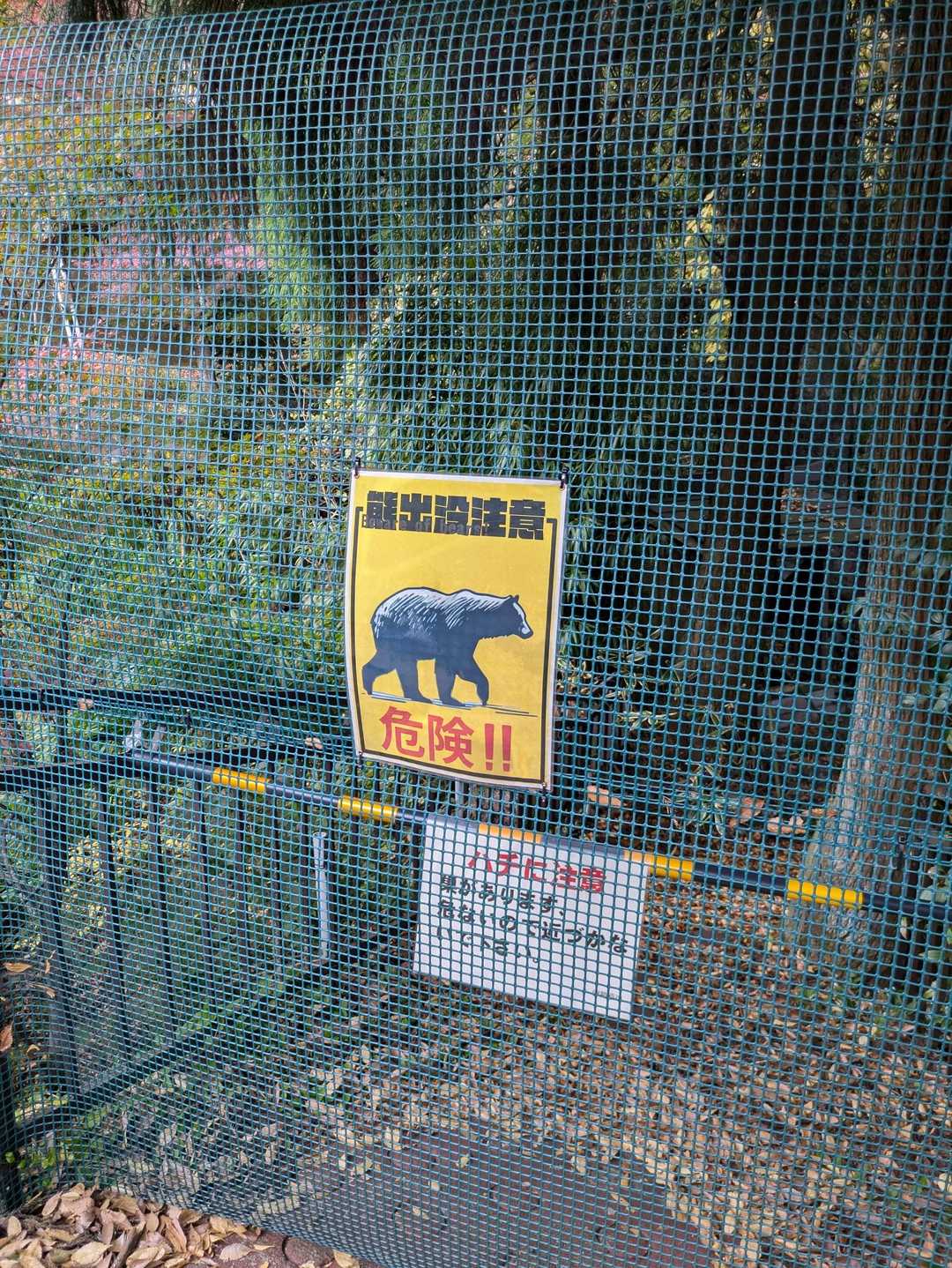 8月に熊🐻が出没した場所😱
大山ケーブル麓駅から少しコマ参道方向へ下りた橋の所