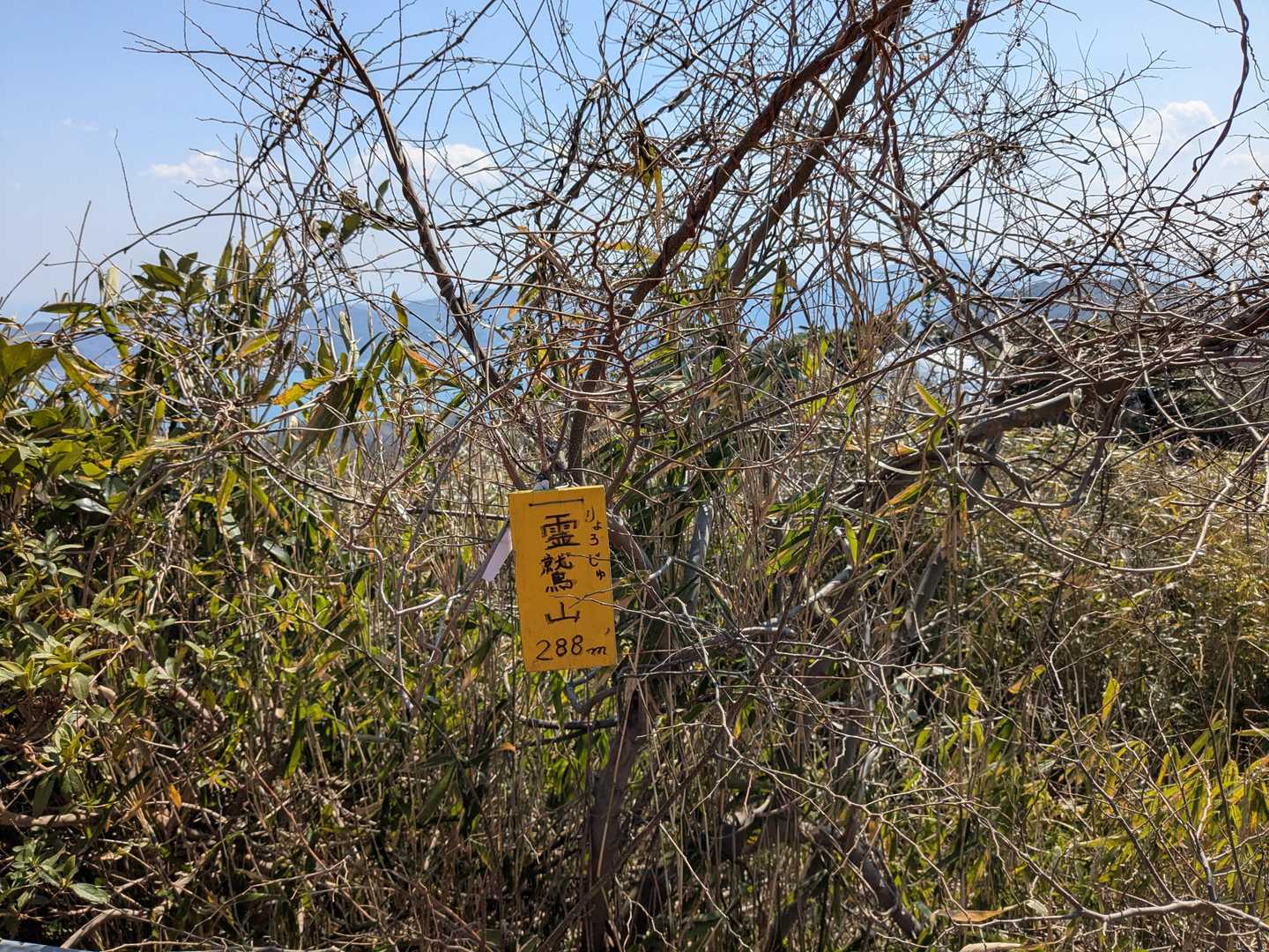霊鷲山到着