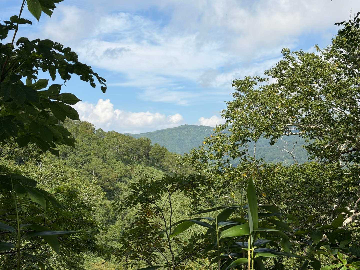 下山で青空に😅