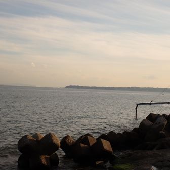 海岸をチェック