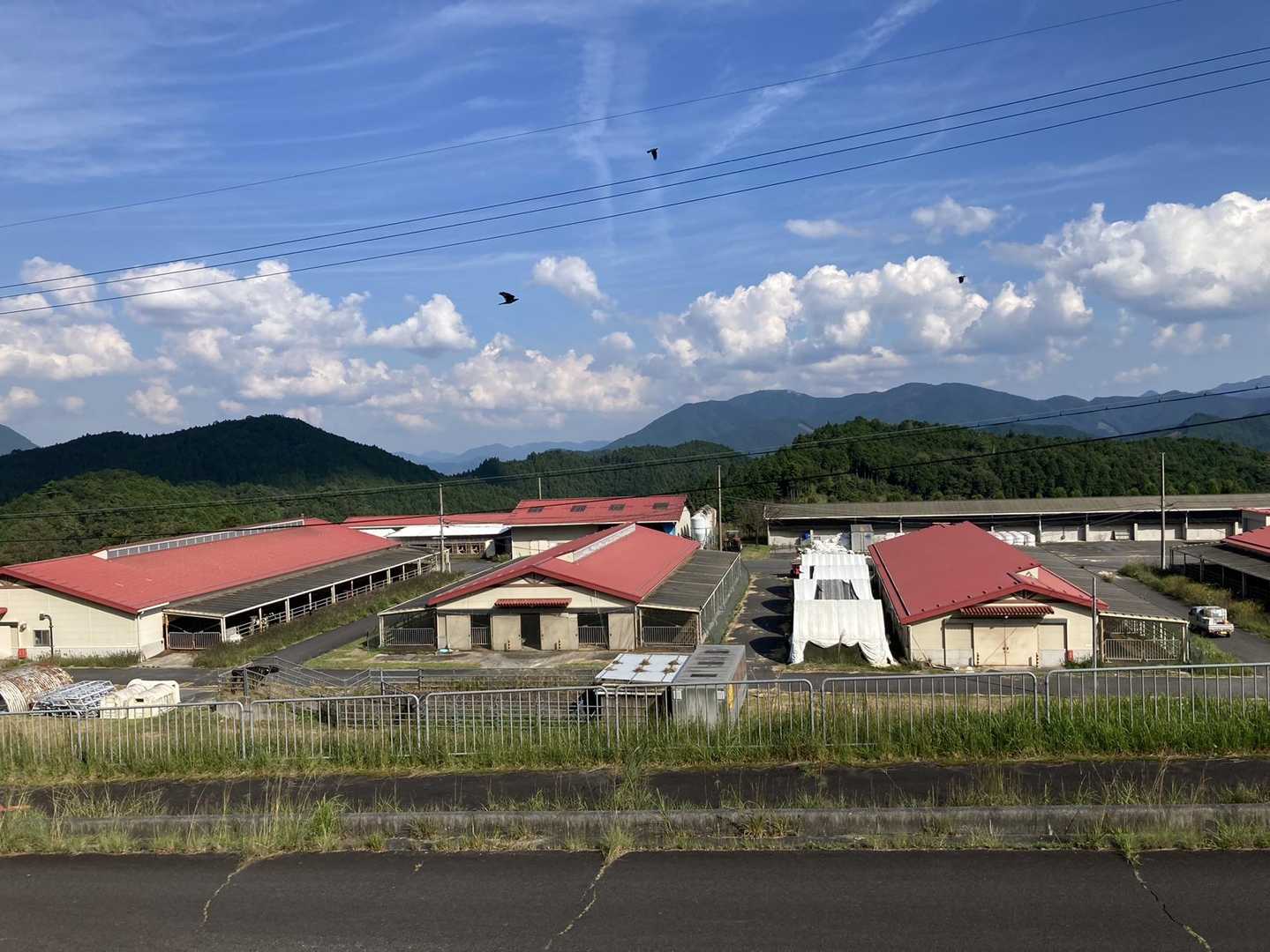 みつえ高原牧場🐮