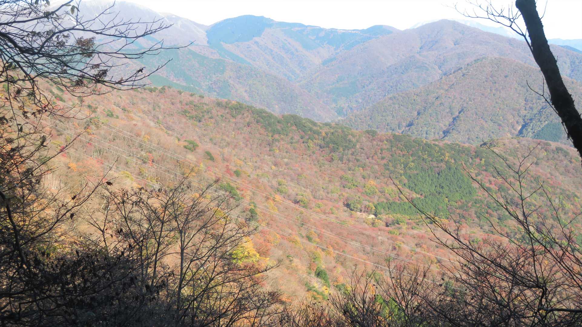 霊仙山が見えて来た　
