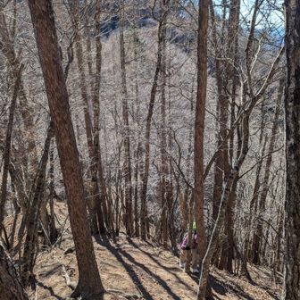グレピ小高山への登り！