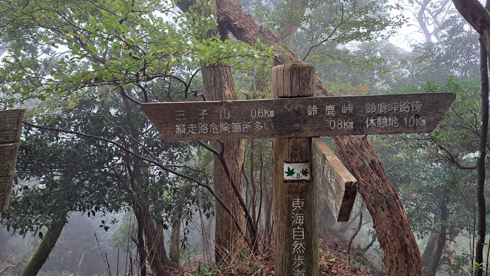 分岐からは登山道