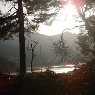 大鳥居が見えていました